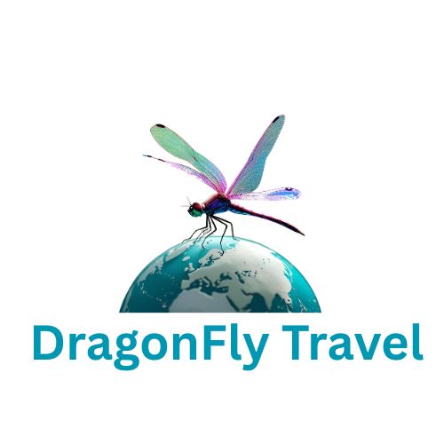 dragonfly-travel.com